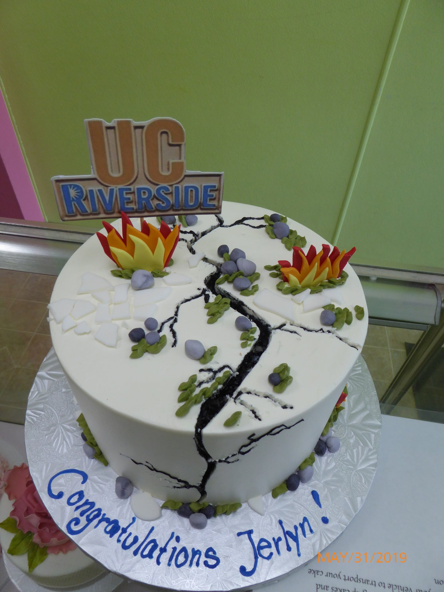Graduation Cakes-073