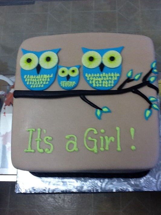 Baby-Shower-035