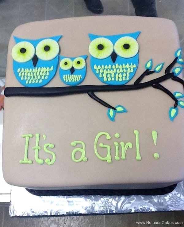 Baby-Shower-239
