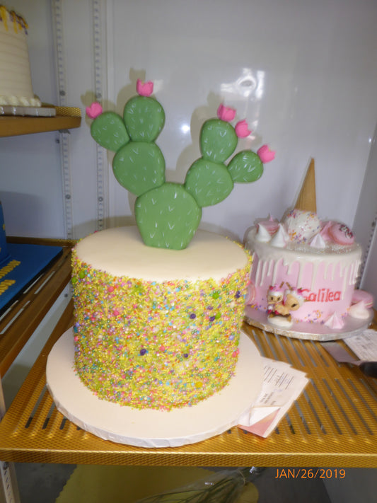 bridal-shower-047