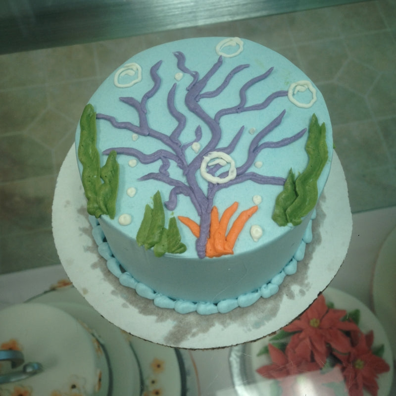 children-birthday-cake-262
